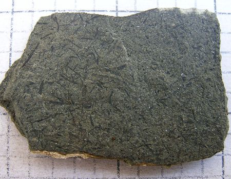 P5290081
