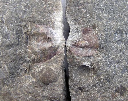 P5300158