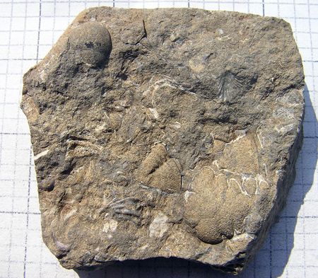 P5300386