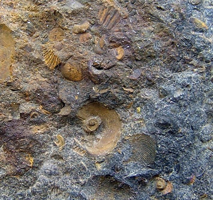 detail 1